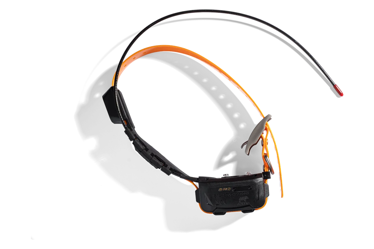 Das LOCIT Halsband von oben: Riemen, Sendemodul und VHF-Antenne