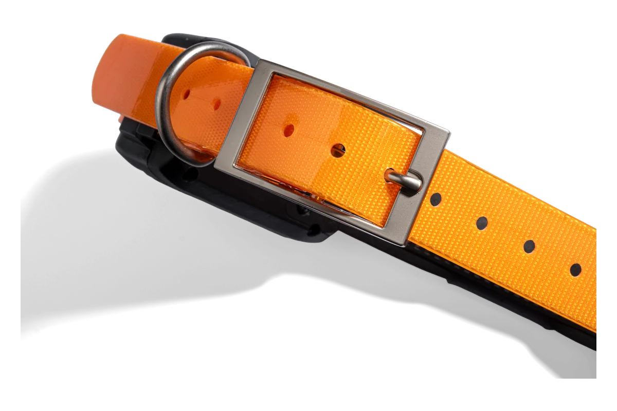 Metallschnalle und D-Ring am orangefarbenen Riemen des LOCIT Halsbands
