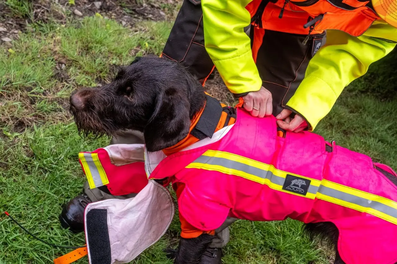 Ausruestung anpassen am Hund